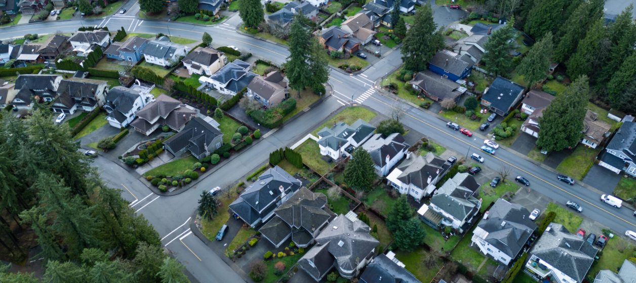 Aerial View of Residential Neighborhood with Lush Greenery and I